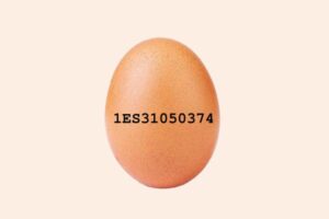 codigo huevos significado