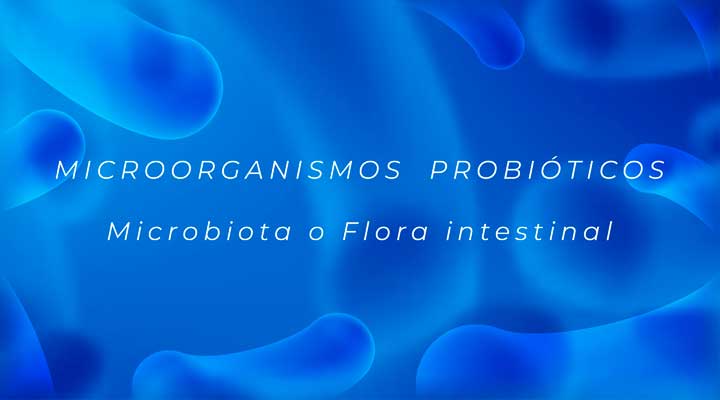 microorganismos probioticos microbiota flora intestinal