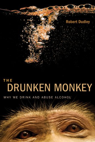 el mono borracho porque bebemos y abusamos del alcohol