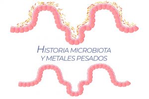 historia microbiota y metales pesados