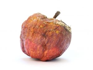 manzana fermentada con probioticos