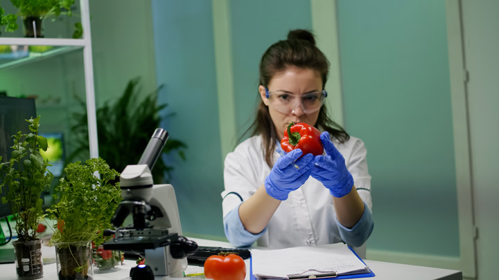 food defense seguridad alimentaria contra el fraude