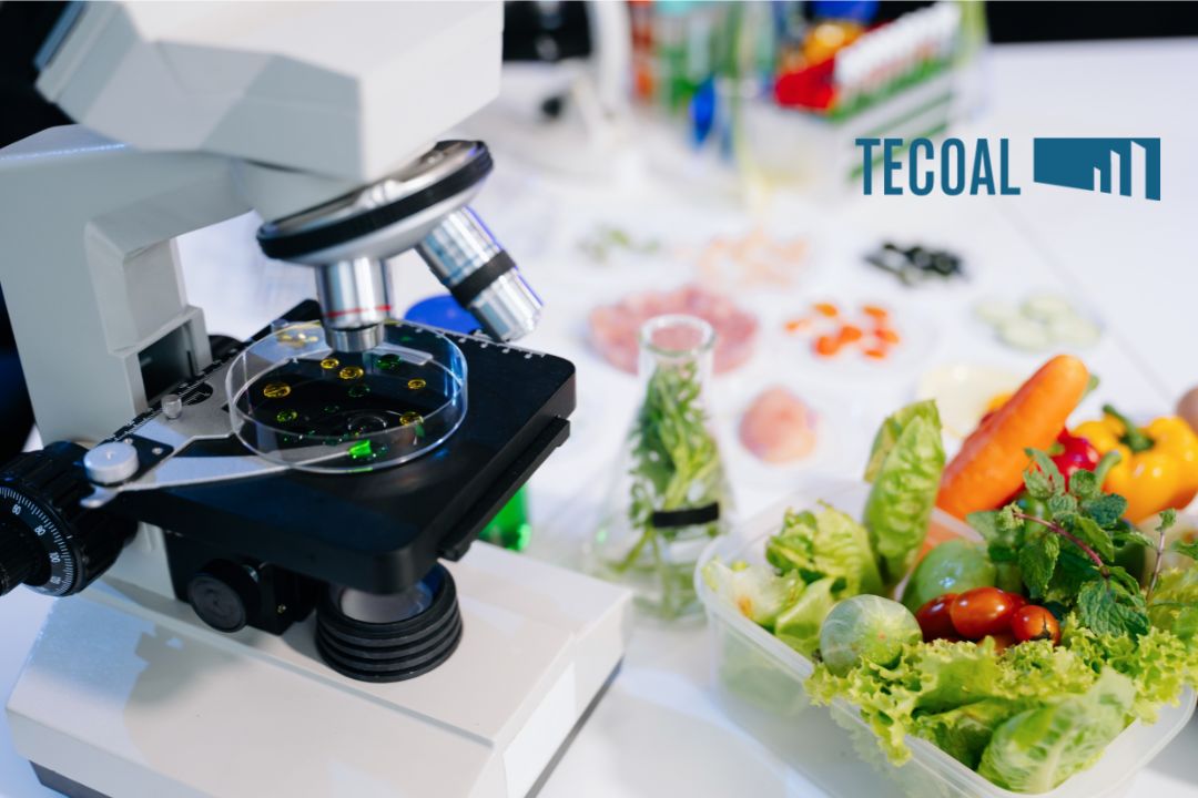 innovacion alimentaria