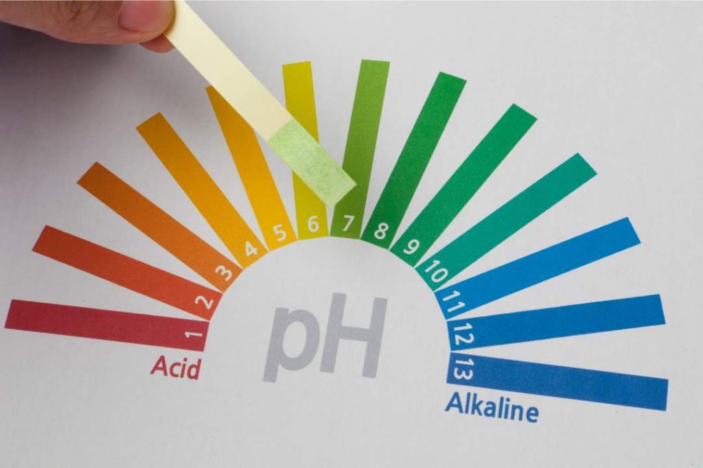 Escala de pH utilizada para valorar la acidez en productos alimentarios y su relación con Listeria